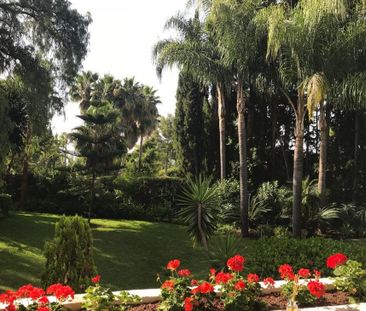 Sierra Blanca, Marbella Golden Mile, Marbella, Andalusia 29602 - Photo 5