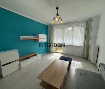 2 pokoje 38 m2 Gołonóg - Photo 2