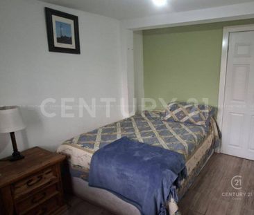 CASA AMUEBLADA EN RENTA EN RINCONADA DE CERVANTES CHIHUAHUA,CHIH. - Photo 6