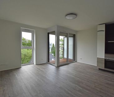 Conger EG.010 - Photo 2