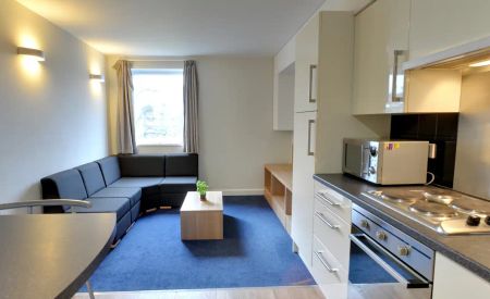 Large Standard Double Studio - Photo 3