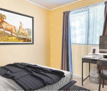 Three Bedroom Home in Quiet Titirangi Cul-de-sac - Photo 3