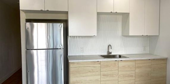 Logement 1 chambre près de Honoré Beaugrand - Photo 2