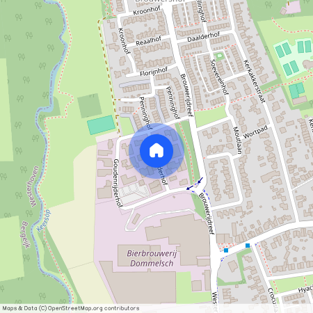 Dommelen, 5551 VJ, Goudenrijderhof, Valkenswaard