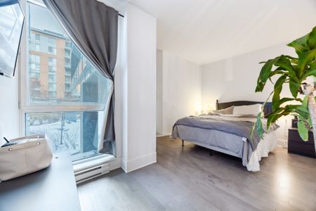 Appartement à louer - Montréal (Ville-Marie) (Vieux-Montréal) Appartement à louer - Montréal (Ville-Marie) (Vieux-Montréal) - Photo 5