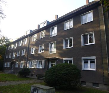 4-Zimmer-Wohnung in Gelsenkirchen-Scholven mieten - Photo 1