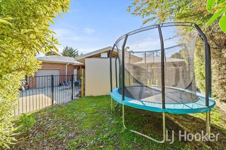 Fantastic 4 Bedroom Ensuite Family Home in Jerrabomberra - Photo 2