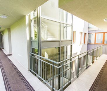 Apartment for rent long term #102173 - Fotó 6