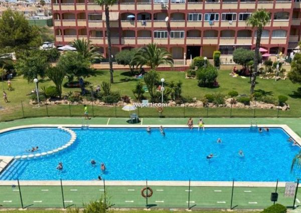 Apartment in Torrevieja, La Mata, for rent
