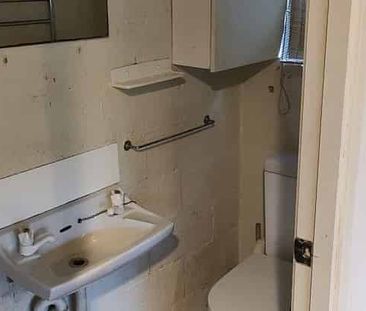 Charming Remuera 1BR Garden Flat! - Photo 4