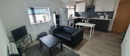 Flat 2, 95 Cathays Terrace, Cathays, Cardiff, CF24 4HT - Photo 2