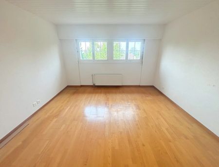 Charmante villa rénovée de 5.5P au calme absolu avec une belle vue - Photo 5