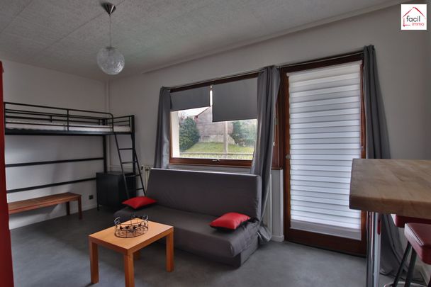 Location Appartement 1 pièce 27m² SARREBOURG 57400 - Photo 1