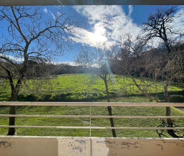 Location Appartement 1 pièce 18m² TOULOUSE 31400 - Photo 5