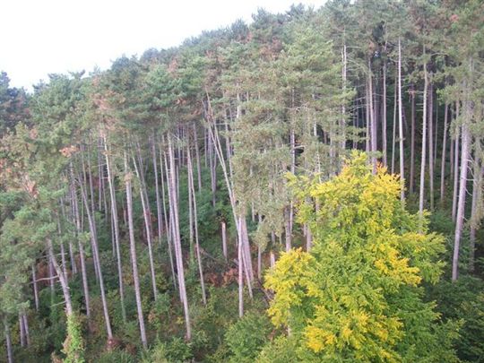 Location Appartement 2 pièces 43m² LE CREUSOT 71200 - Photo 1