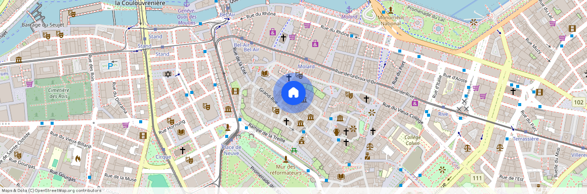 Rue Jean-Calvin 6, 1204 GENEVE