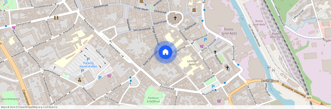 Louis d'Haeseleerstraat 9/A, 9300 Aalst