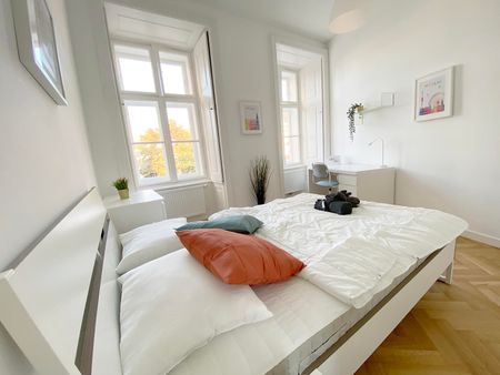 Große Neugasse Top 8 Zimmer 3 - Photo 5