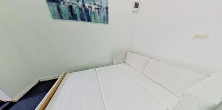 257 Cleveland Redfern, Sydney - Photo 4