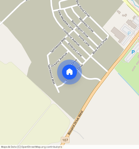 ** Timber Falls Drive Unit# Basement, Brampton