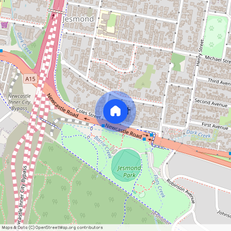 18 Coles Street, NSW 2299, Jesmond