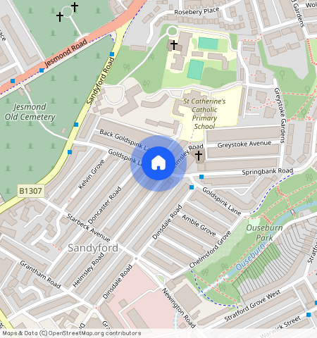 Goldspink Lane, Newcastle Upon Tyne, NE2