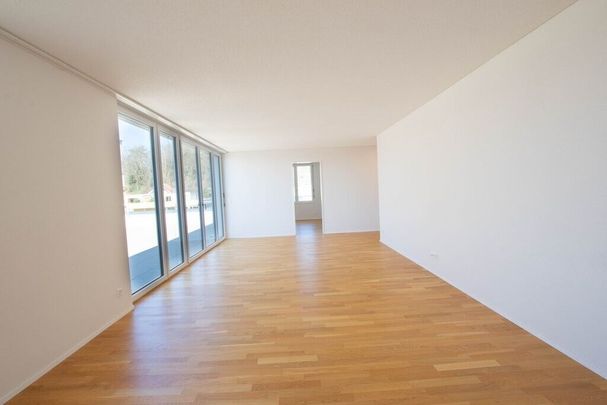 Modern 3.5-room apartment with large terrace (54 m2) - Photo 1