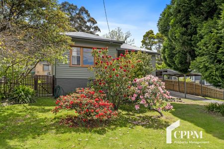 613 Huon Rd, South Hobart TAS 7004 - House For Rent | Domain - Photo 4