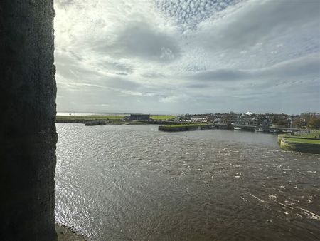 14 Spanish Parade, The Long Walk, Galway, H91 AE37 - Photo 5