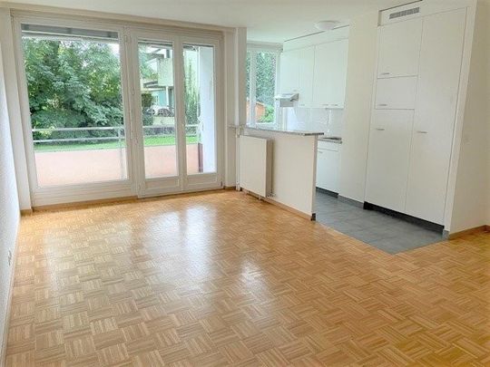 Proche aéroport et organisations internationales - Photo 1