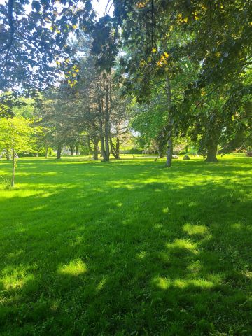 For Lease - 29 Ravenview Drive Unit# Basement, Toronto, Ontario - Photo 5