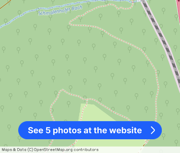 G & K - lichtdurchflutetes und zentrumnahes Apartment - Photo 1