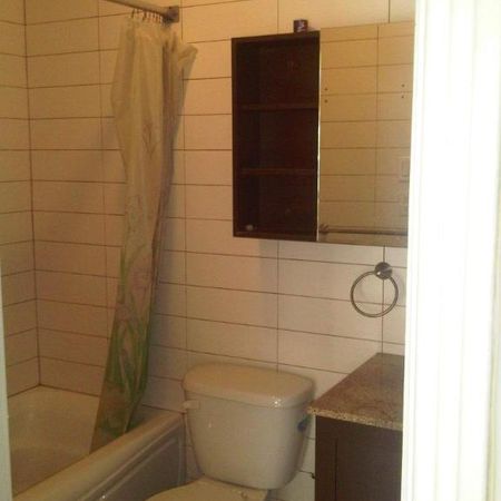 2 CH - 1 SDB - Montréal - $1,295 /mo - Photo 3