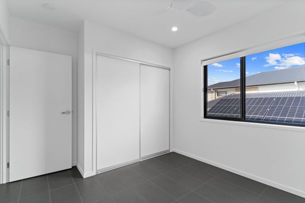 Palmview - Photo 1