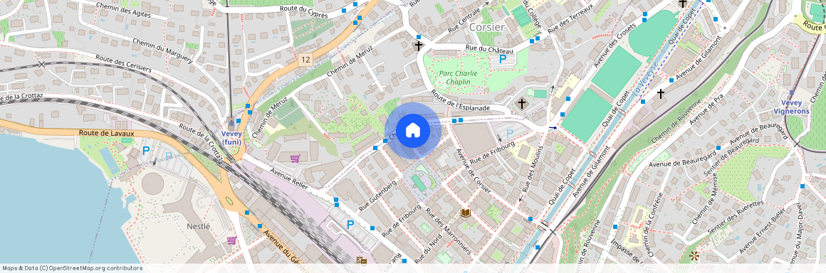 Rue des Tilleuls 22, 1800 - Vevey, Suisse