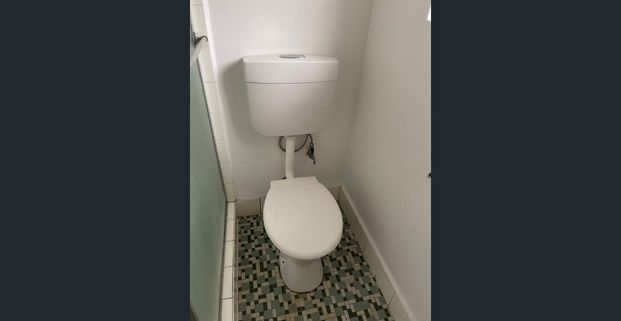 Bright, freshly painted, 1 bedroom apartment - Photo 1