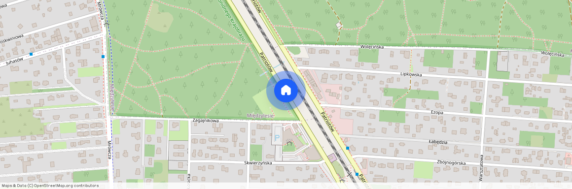 ul. Patriotów, Radość, Wawer, Warszawa, mazowieckie