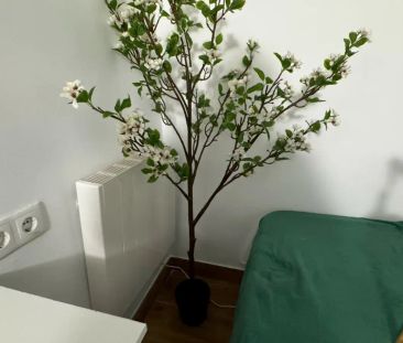 Room in a shared 4-bedroom apartment for rent in Zofío - Foto 6