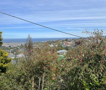 32A Havelock Street, Mornington, Dunedin - Photo 5