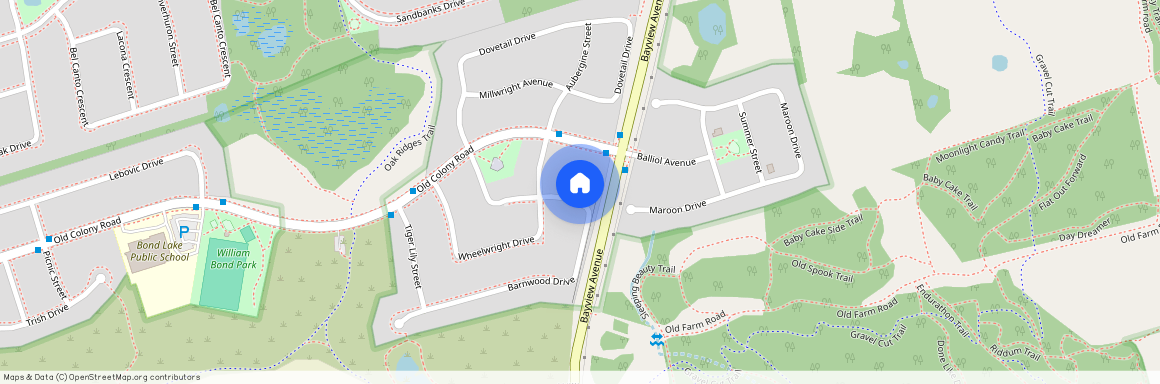 17 Barnwood Drive Unit# Basement, Richmond Hill