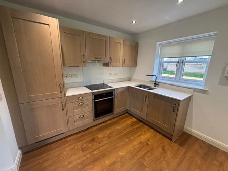 2 bedroom detached bungalow to rent - Photo 4