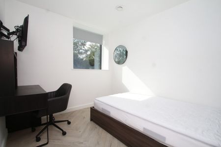 3 bed Shared Flat for Rent - Photo 5