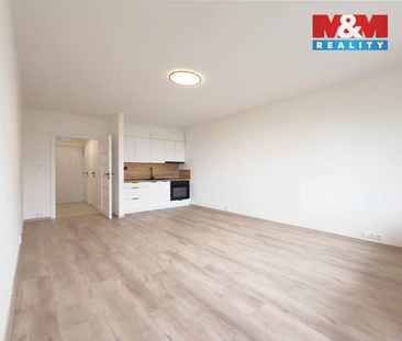 Pronájem bytu 1+kk a garsoniéry 30 m², Nový Bohumín, Bohumín - Fotografie 5