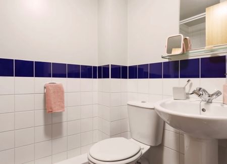 Room in a Shared Flat, Grand Central, L3 - Photo 5