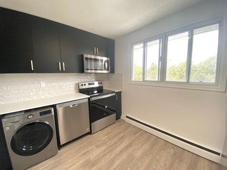 $1,800 / 1 br / 1 ba / 700 sqft 1BR Apartment Unit in Kitchener - Photo 2