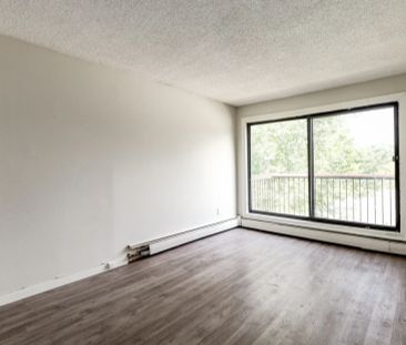 2 Bedroom - Photo 1