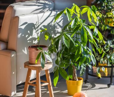 Goed gelegen 2 slaapkamer appartement met terras en garage - Foto 4