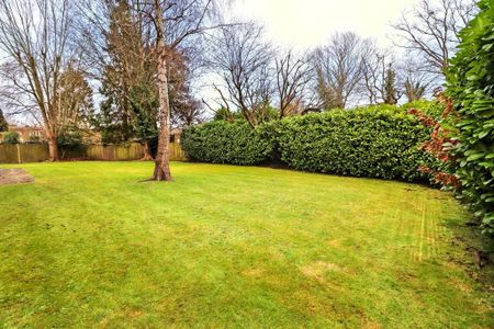 2 bedroom penthouse to rent - Photo 5