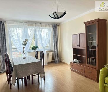 Kielce, Bocianek - Photo 1