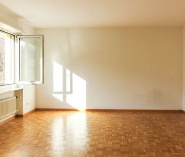 1.5Apartment with large kitchen - Photo 4